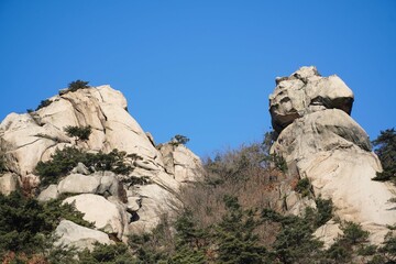The blue sky, rocks, and trees.