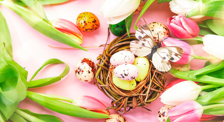 Spring Easter holiday pink background with tulips, quail eggs, butterflies in a nest. Top view