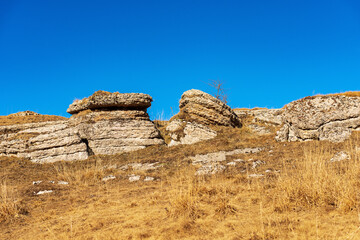 Close-up of rock karst formations on Lessinia Plateau Regional Natural Park (Altopiano della Lessinia), Bosco Chiesanuova municipality, Verona Province, Veneto, Italy, southern Europe.