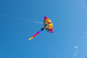 Colorful Kites flying over the sky
