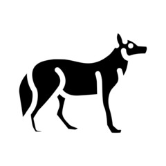 Obraz premium wolf animal glyph icon vector. wolf animal sign. isolated contour symbol black illustration