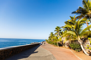 Fototapeta na wymiar Palm Trees - Perfect palm trees against a beautiful blue sky and the ocean, tenerife