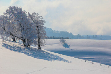 Winterlandschaft_9300