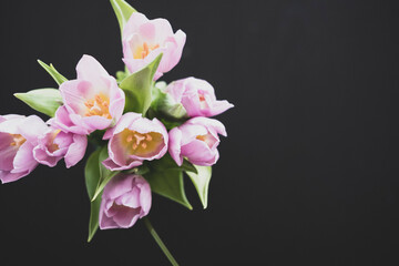 Fototapeta na wymiar Tulip Bouquet