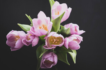 Purple Tulip Bouquet