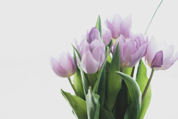 Blooming Tulip Bouquet