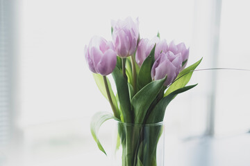 Tulip Bouquet