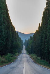 Beautiful sunrise in a sunny day in Bolgheri, Tuscany