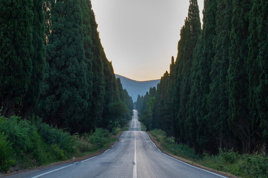 Beautiful sunrise in a sunny day in Bolgheri, Tuscany