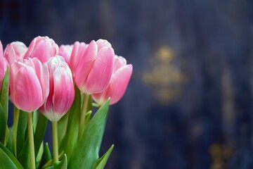 Side view image of bouquet of beautiful pink tulips on dark purple grey background. Copy space for text.