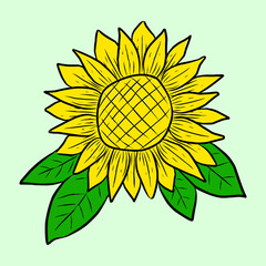 sunflower flower. hand-drawn in sketch style, sunflower flower