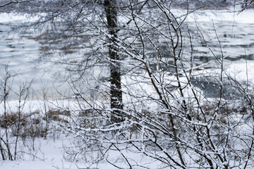 Melting snow on the river on the eve of spring.