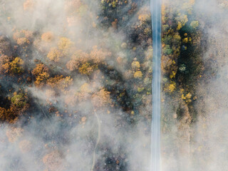 Static view Calm autumn forest at sunset disrupts the movement of fast cars on the highway