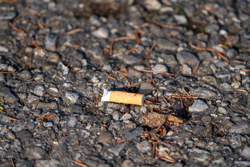 Cigarette trash on the ground