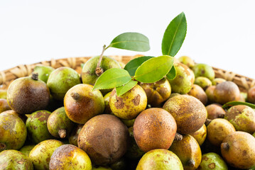 Fresh camellia fruit picked in autumn