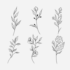 Flower branches. For hand-drawn weddings, homeplant with elegant leaves for invitations, date card designs.