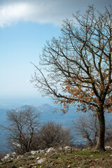 Fototapeta na wymiar Paysage hivernal en Italie