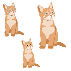 Little fluffy ginger kitten cat sitting paws together vector flat 3d