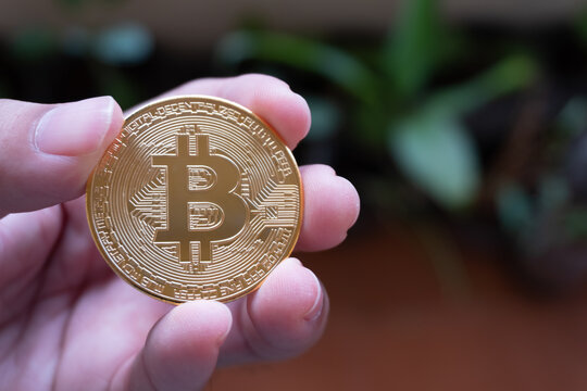 Man hand holding golden coin symbol of bitcoin cryptocurrency, digital money concept