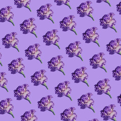 Creative pattern made of beautiful iris flowers on pastel violet background. Nature concept. Minimal style. Top view. Flat lay