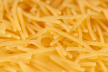 chopped raw noodles close-up. pasta