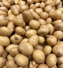 Big pile of potatoes