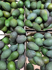 Boxes of avocados on display