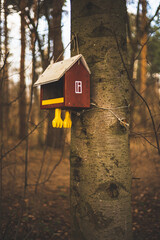 a birdhouse with chicken legs that hangs on a tree in the forest 