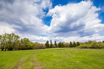 Fototapeta na wymiar Landscape Nature Rural Spring Road Meadow Forest Lawn Green Grass Trees Field Sky Clouds Summer Village Wallpaper