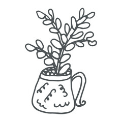 Hand drawn  succulent outline icon in doodle style. Vector liner illustration for print, web, mobile and infographics isolated on white background.  