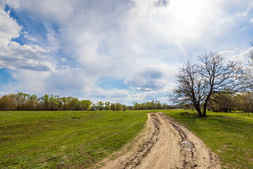 Landscape Nature Rural Spring Road Meadow Forest Lawn Green Grass Trees Field Sky Clouds Summer Village Wallpaper