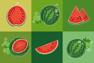 A set of pieces of watermelon. Vector illustration. Design for decor.