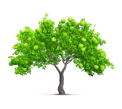 green apple tree isolated 3D illustration