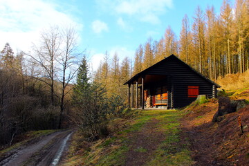 cottage in a forest in late winter germany
