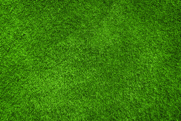 Obraz na płótnie Canvas Textured high quality background of freshly cut green lawn
