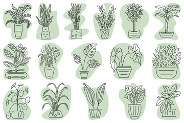 A potted plant. Houseplant for home and office. Set of vector icons, green abstract background, contour, isolated