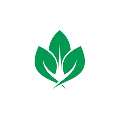 leaf logo design