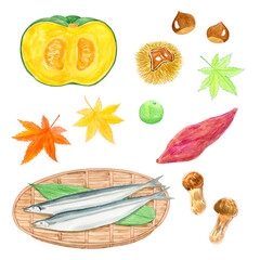 おいしそうな秋の味覚食材の水彩イラスト