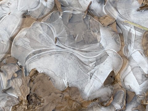 Kunstvolles Muster auf zugefrorener Pfütze © contadora1999