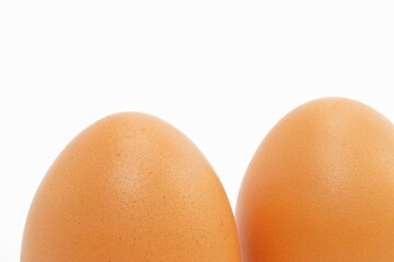 eggs on a white background