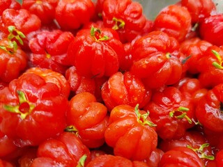 Pitangas or Brazilian cherry, full screen, top view. It is the fruit of Pitangueira. It is originally from Brazil. The word “pitanga” comes from the Tupi-Guarani, which means red.