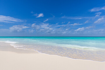 Paradise island beach. Tropical landscape of summer scenery, white sand, blue sea sky. Luxury travel vacation destination. Exotic beach landscape. Amazing nature, relax, freedom nature panorama