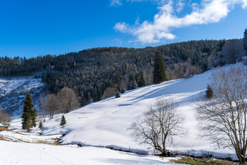 Im Schwarzwald beim Schluchsee  Winter Ski 