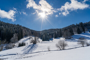 Fototapeta premium Im Schwarzwald beim Schluchsee Winter Ski 