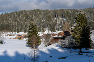 Im Schwarzwald beim Schluchsee  Winter Ski 