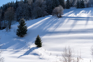 Im Schwarzwald beim Schluchsee  Winter Ski 