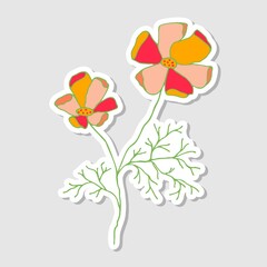 Illustration of the California Poppy. Stickers with flowers for the album. Beautiful floral stickers.Doodle style. Drawing bright flowers.  Vector illustration.