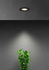 interior lighting using led downlight night scene with green plant