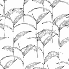 Seamless pattern with line tropical leaves on white background.
