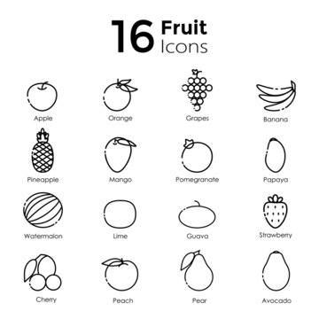 line art fruit icons set on white background